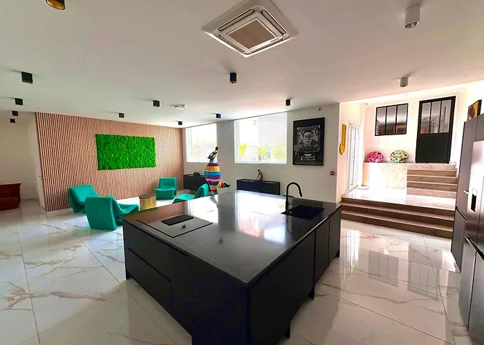 Loft 250 M2 Toit Terrasse Parking Netflix